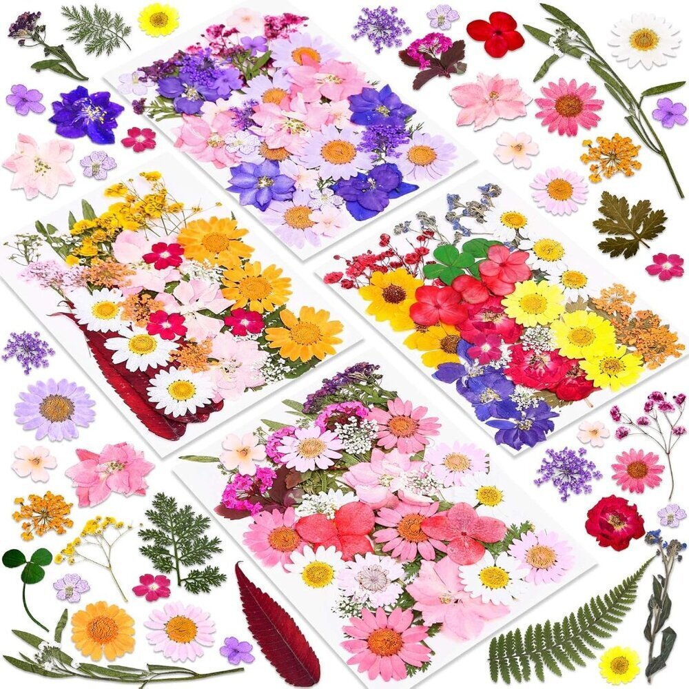 140 Pcs Dried Pressed Flowers for Resin, Real Pressed Flowers Dry Leaves Bulk Na